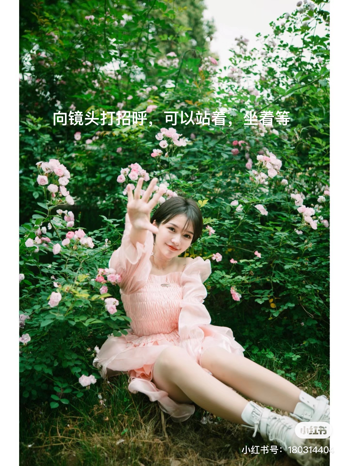 image-20240419075111894